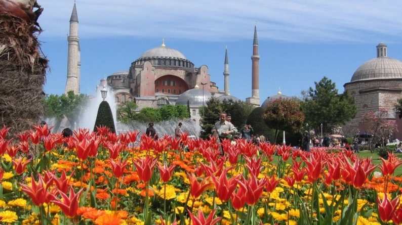 Bunga Tulip Daerah Turki